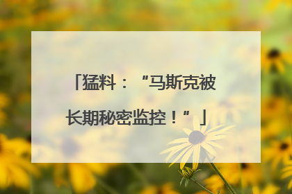 猛料：“马斯克被长期秘密监控！”