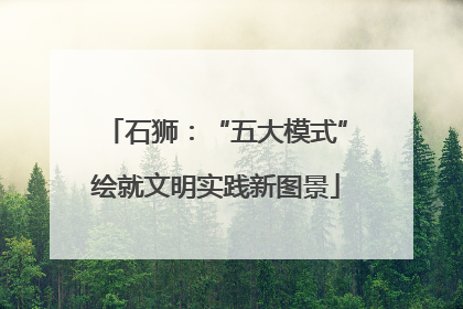 石狮：“五大模式”绘就文明实践新图景