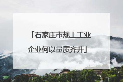 石家庄市规上工业企业何以量质齐升