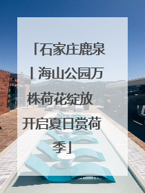 石家庄鹿泉丨海山公园万株荷花绽放 开启夏日赏荷季