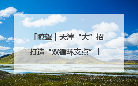 瞭望｜天津“大”招打造“双循环支点”