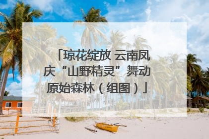 琼花绽放 云南凤庆“山野精灵”舞动原始森林（组图）