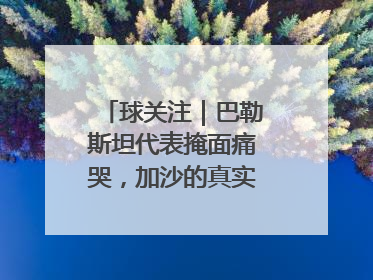 球关注｜巴勒斯坦代表掩面痛哭，加沙的真实现状让人痛心