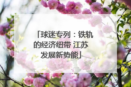球迷专列：铁轨的经济纽带 江苏发展新势能