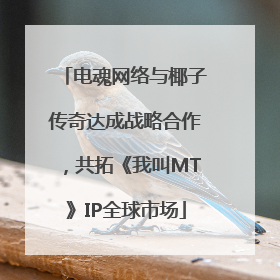 电魂网络与椰子传奇达成战略合作，共拓《我叫MT》IP全球市场