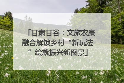 甘肃甘谷：文旅农康融合解锁乡村“新玩法”绘就振兴新图景
