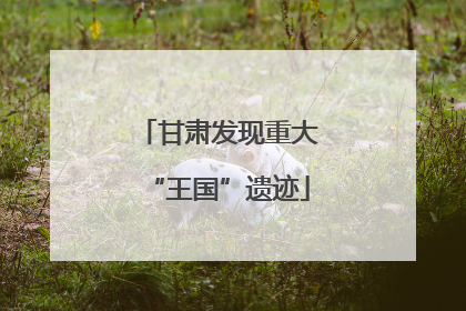 甘肃发现重大“王国”遗迹