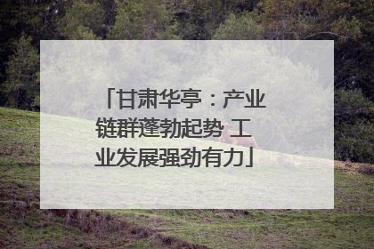 甘肃华亭：产业链群蓬勃起势 工业发展强劲有力