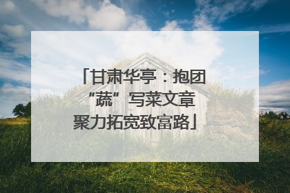 甘肃华亭：抱团“蔬”写菜文章 聚力拓宽致富路