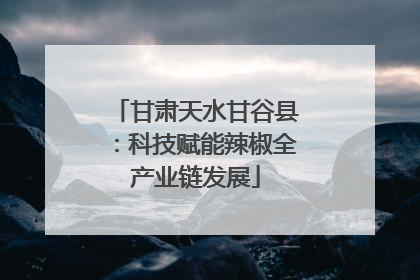 甘肃天水甘谷县：科技赋能辣椒全产业链发展