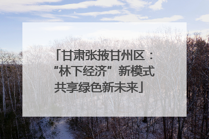 甘肃张掖甘州区：“林下经济”新模式 共享绿色新未来