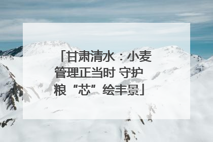 甘肃清水：小麦管理正当时 守护粮“芯”绘丰景