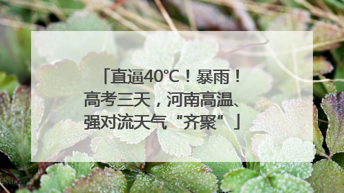 直逼40℃！暴雨！高考三天，河南高温、强对流天气“齐聚”