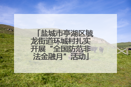 盐城市亭湖区毓龙街道环城村扎实开展“全国防范非法金融月”活动