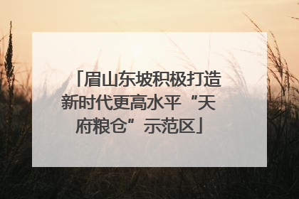 眉山东坡积极打造新时代更高水平“天府粮仓”示范区