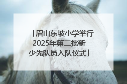 眉山东坡小学举行2025年第二批新少先队员入队仪式