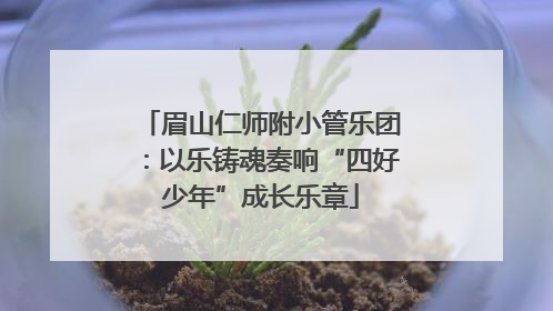 眉山仁师附小管乐团：以乐铸魂奏响“四好少年”成长乐章