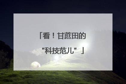 看！甘蔗田的“科技范儿”