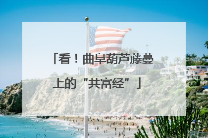 看！曲阜葫芦藤蔓上的“共富经”