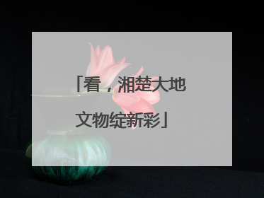 看，湘楚大地文物绽新彩