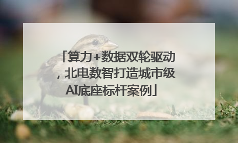 算力+数据双轮驱动，北电数智打造城市级AI底座标杆案例
