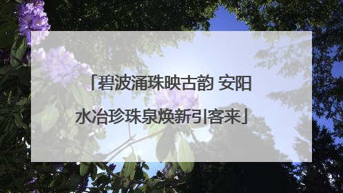 碧波涌珠映古韵 安阳水冶珍珠泉焕新引客来