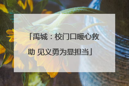 禹城：校门口暖心救助 见义勇为显担当