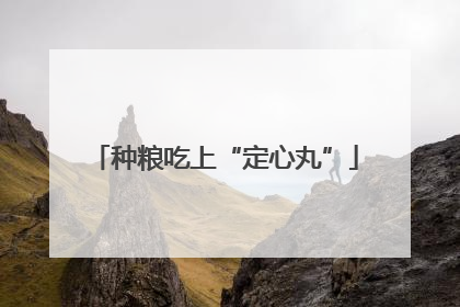 种粮吃上“定心丸”