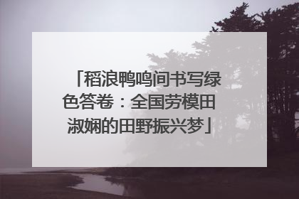 稻浪鸭鸣间书写绿色答卷：全国劳模田淑娴的田野振兴梦