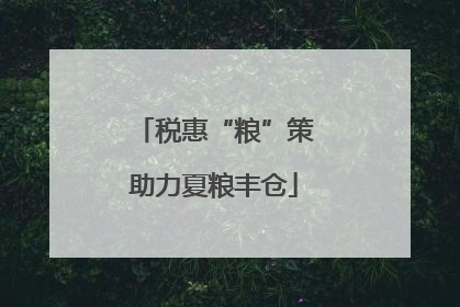税惠“粮”策助力夏粮丰仓