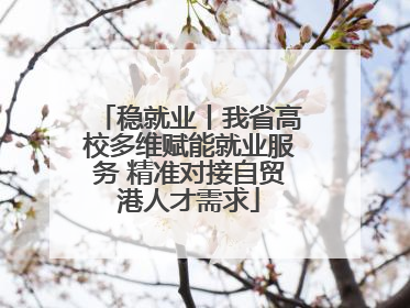 稳就业丨我省高校多维赋能就业服务 精准对接自贸港人才需求