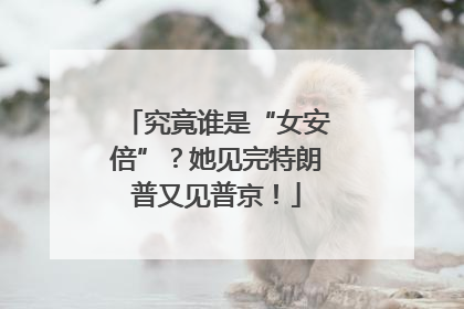 究竟谁是“女安倍”？她见完特朗普又见普京！