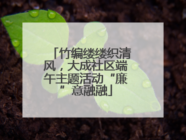 竹编缕缕织清风，大成社区端午主题活动“廉”意融融