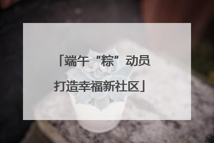 端午“粽”动员 打造幸福新社区