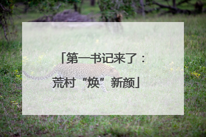 第一书记来了：荒村“焕”新颜
