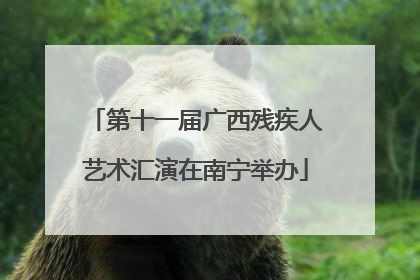 第十一届广西残疾人艺术汇演在南宁举办