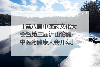 第八届中医药文化大会暨第三届沂山论健·中医药健康大会开幕