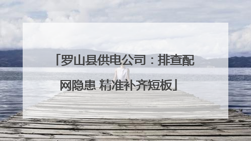 罗山县供电公司：排查配网隐患 精准补齐短板