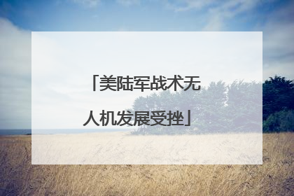 美陆军战术无人机发展受挫