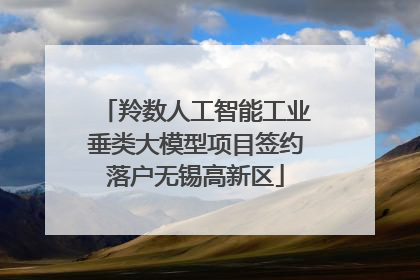 羚数人工智能工业垂类大模型项目签约落户无锡高新区