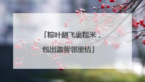 粽叶翻飞裹糯米，包出温馨邻里情