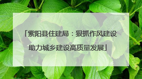 紫阳县住建局：狠抓作风建设 助力城乡建设高质量发展