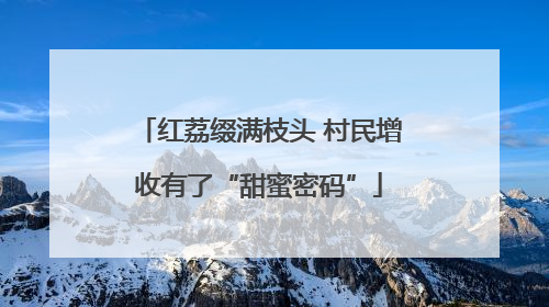 红荔缀满枝头 村民增收有了“甜蜜密码”