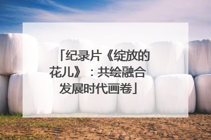 纪录片《绽放的花儿》：共绘融合发展时代画卷