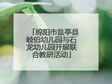 绵阳市盐亭县岐伯幼儿园与石龙幼儿园开展联合教研活动