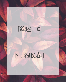 综述｜C一下，很长春