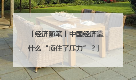 经济随笔丨中国经济靠什么“顶住了压力”？