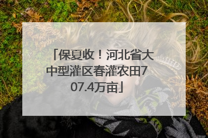 保夏收！河北省大中型灌区春灌农田707.4万亩