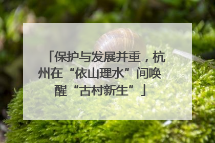 保护与发展并重，杭州在“依山理水”间唤醒“古村新生”