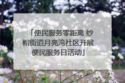 便民服务零距离 纱帽街道月亮湾社区开展便民服务日活动